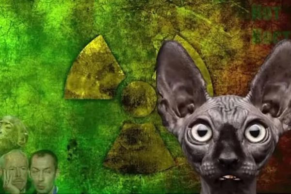 Кот Костян